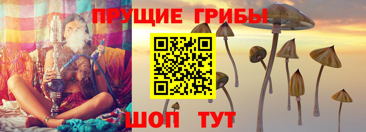 Галлюциногенные грибы мицелий  Вход с VPN  Реутов 