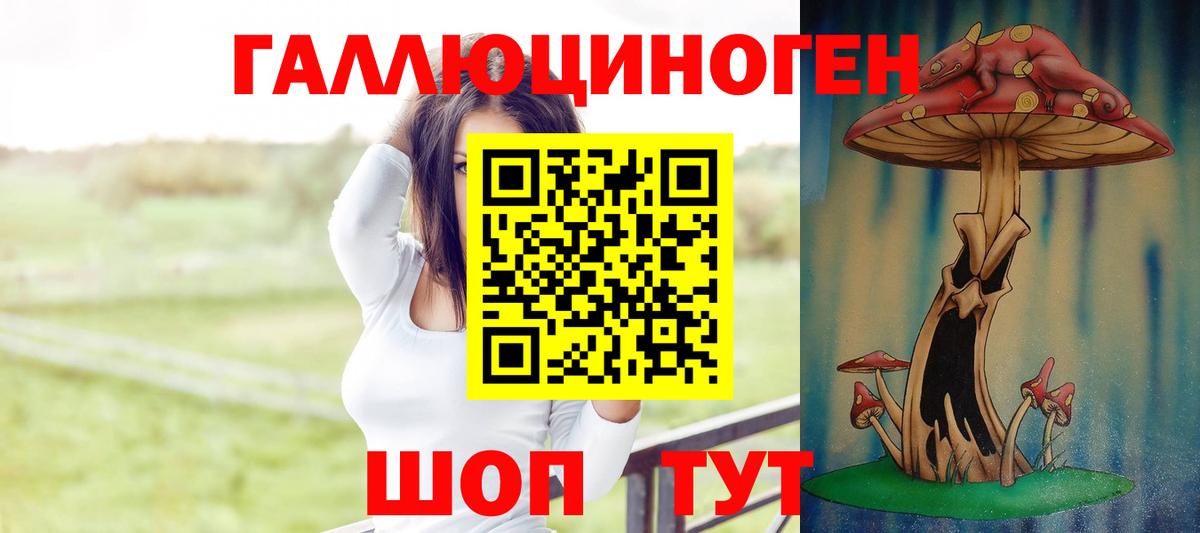 Псилоцибиновые грибы Psilocybine cubensis Реутов